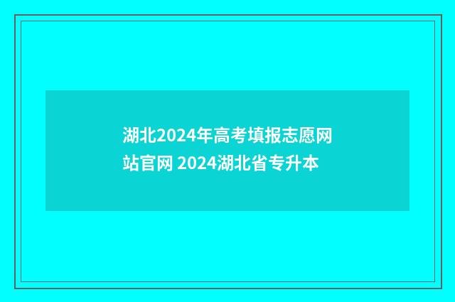 湖北2024年高考填报志愿网站官网 2024湖北省专升本