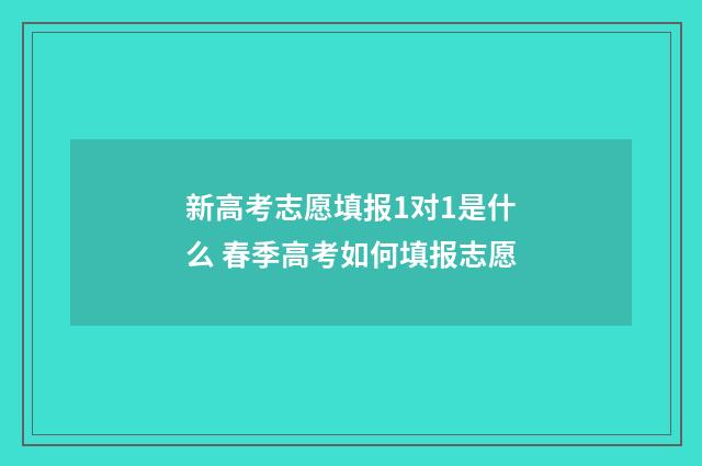 新高考志愿填报1对1是什么 春季高考如何填报志愿