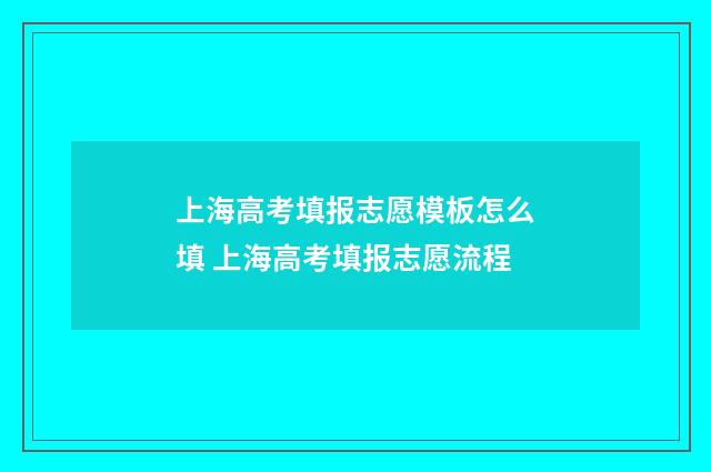 上海高考填报志愿模板怎么填 上海高考填报志愿流程