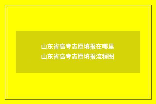 山东省高考志愿填报在哪里 山东省高考志愿填报流程图