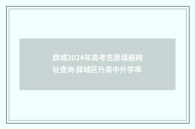 薛城2024年高考志愿填报网址查询 薛城区升高中升学率