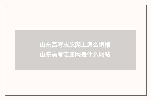 山东高考志愿网上怎么填报 山东高考志愿网是什么网站