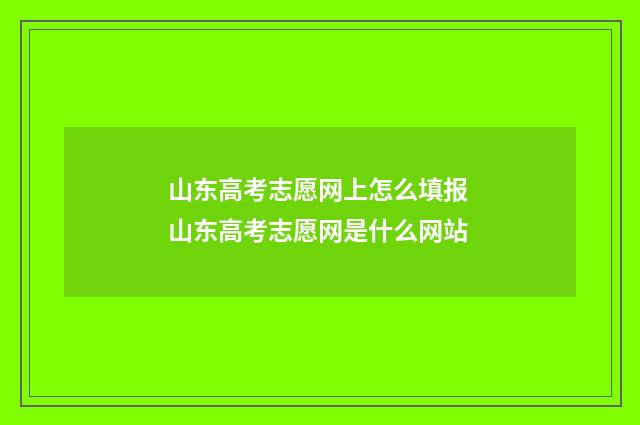 山东高考志愿网上怎么填报 山东高考志愿网是什么网站