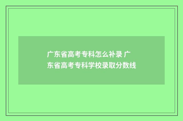 广东省高考专科怎么补录 广东省高考专科学校录取分数线