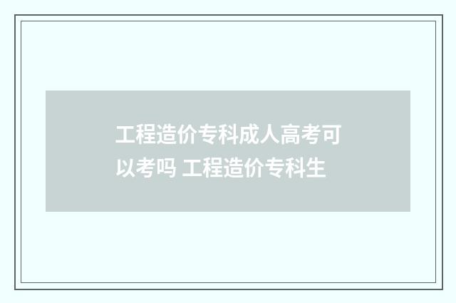 工程造价专科成人高考可以考吗 工程造价专科生