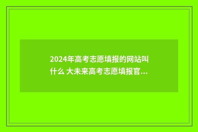 2024年高考志愿填报的网站叫什么 大未来高考志愿填报官网