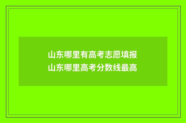 山东哪里有高考志愿填报 山东哪里高考分数线最高