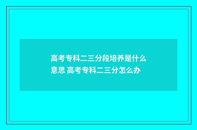 高考专科二三分段培养是什么意思 高考专科二三分怎么办