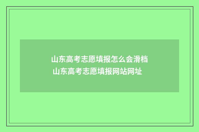 山东高考志愿填报怎么会滑档 山东高考志愿填报网站网址