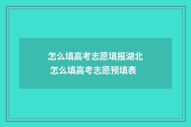 怎么填高考志愿填报湖北 怎么填高考志愿预填表