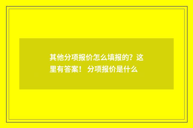 其他分项报价怎么填报的？这里有答案！ 分项报价是什么