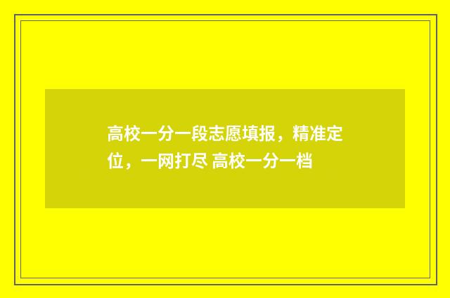 高校一分一段志愿填报，精准定位，一网打尽 高校一分一档