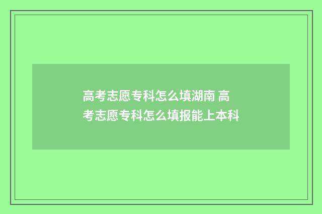 高考志愿专科怎么填湖南 高考志愿专科怎么填报能上本科