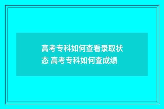 高考专科如何查看录取状态 高考专科如何查成绩