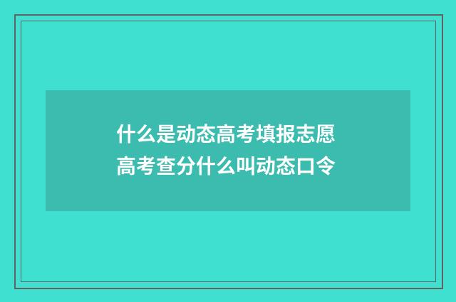 什么是动态高考填报志愿 高考查分什么叫动态口令