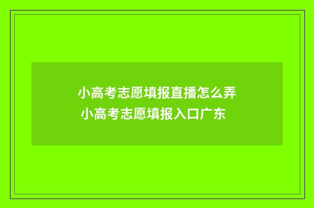 小高考志愿填报直播怎么弄 小高考志愿填报入口广东