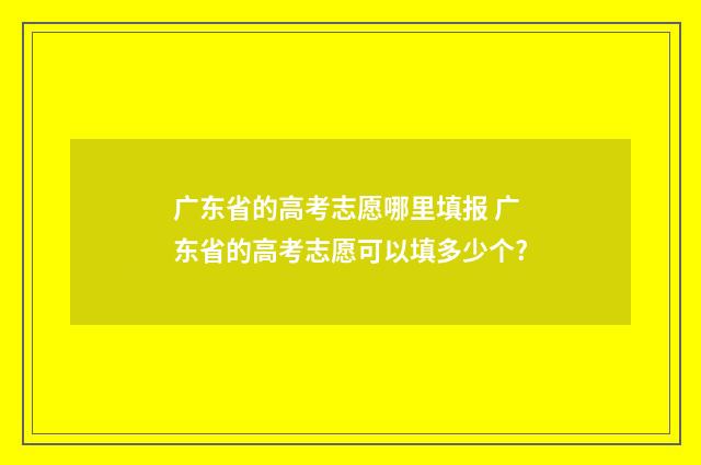 广东省的高考志愿哪里填报 广东省的高考志愿可以填多少个?
