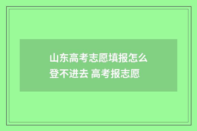 山东高考志愿填报怎么登不进去 高考报志愿
