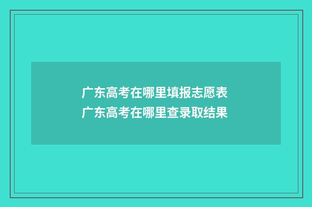 广东高考在哪里填报志愿表 广东高考在哪里查录取结果
