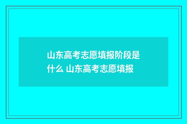 山东高考志愿填报阶段是什么 山东高考志愿填报