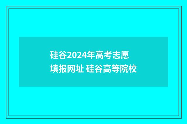 硅谷2024年高考志愿填报网址 硅谷高等院校