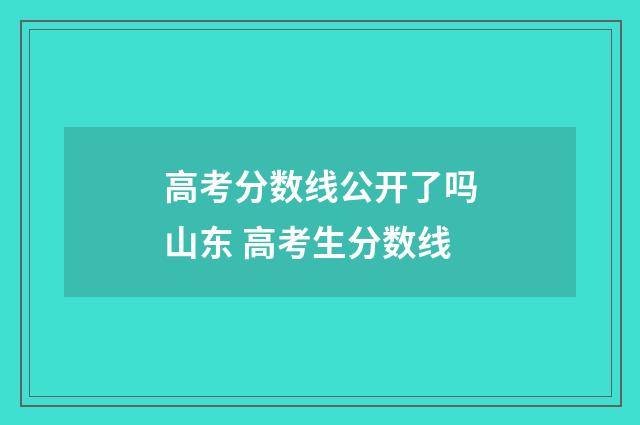 高考分数线公开了吗山东 高考生分数线