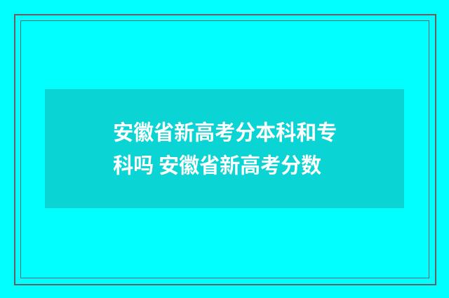 安徽省新高考分本科和专科吗 安徽省新高考分数