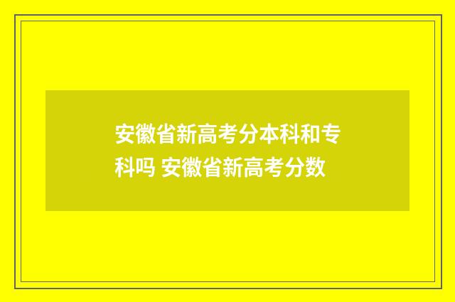 安徽省新高考分本科和专科吗 安徽省新高考分数
