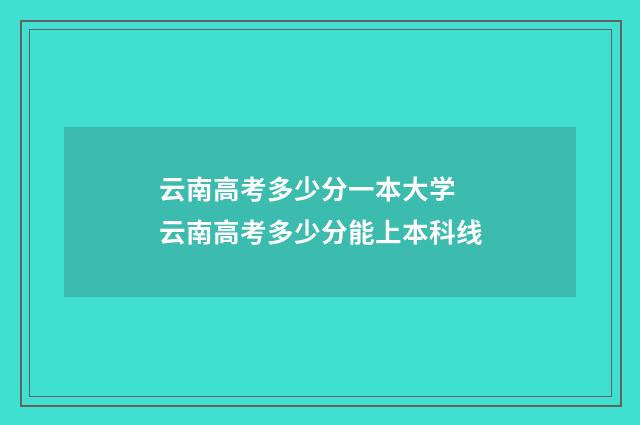 云南高考多少分一本大学 云南高考多少分能上本科线