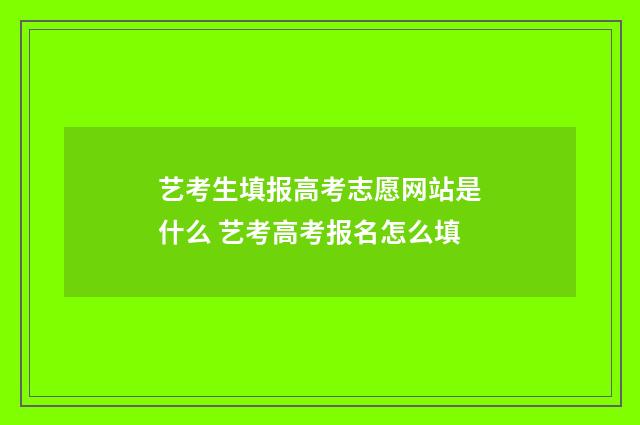 艺考生填报高考志愿网站是什么 艺考高考报名怎么填