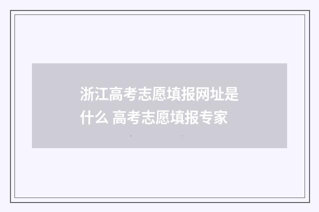 浙江高考志愿填报网址是什么 高考志愿填报专家