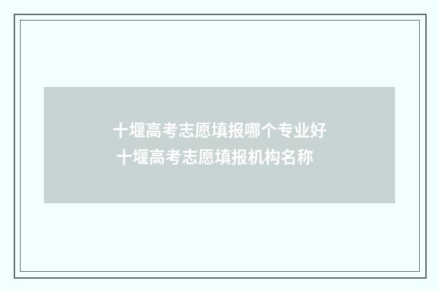 十堰高考志愿填报哪个专业好 十堰高考志愿填报机构名称