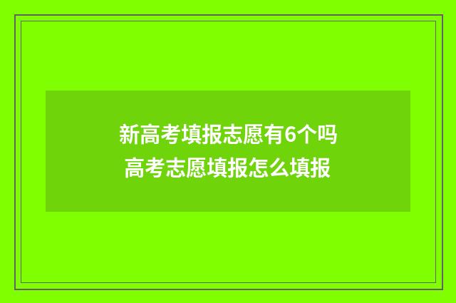 新高考填报志愿有6个吗 高考志愿填报怎么填报