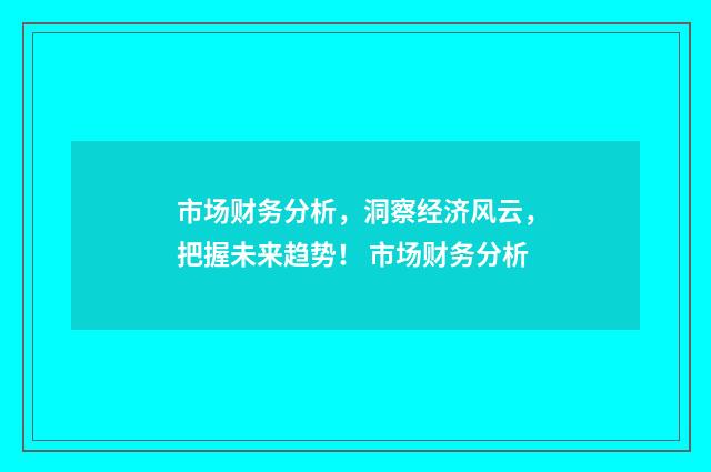 市场财务分析，洞察经济风云，把握未来趋势！ 市场财务分析