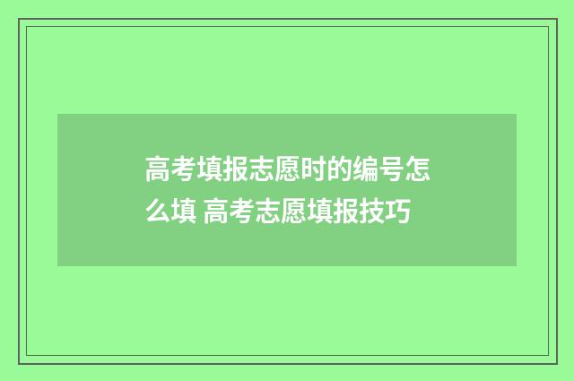 高考填报志愿时的编号怎么填 高考志愿填报技巧