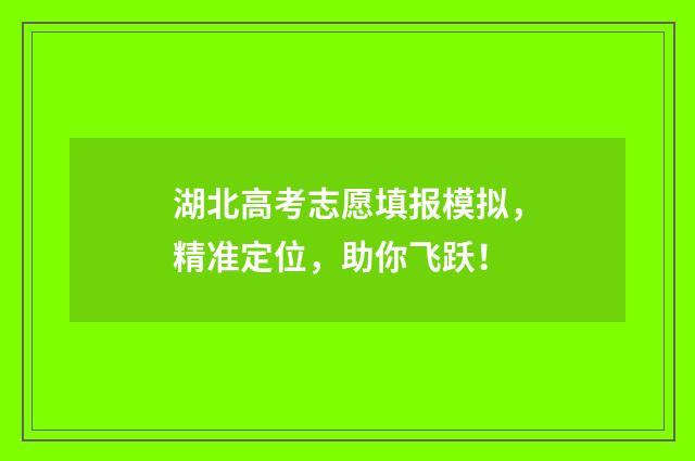 湖北高考志愿填报模拟，精准定位，助你飞跃！