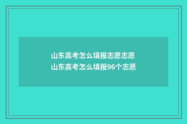 山东高考怎么填报志愿志愿 山东高考怎么填报96个志愿