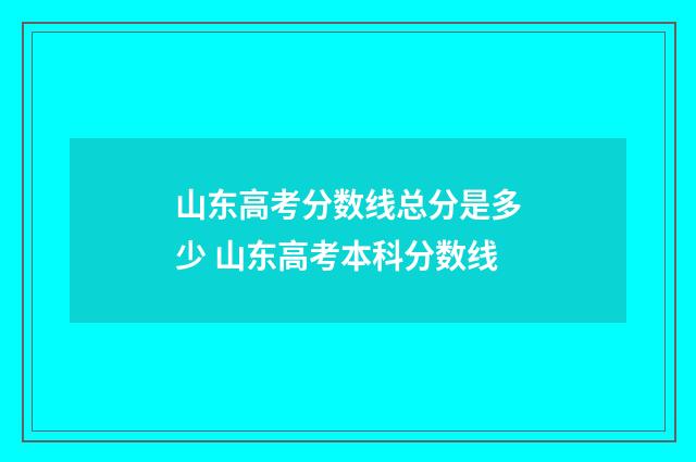 山东高考分数线总分是多少 山东高考本科分数线
