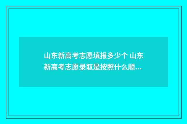 山东新高考志愿填报多少个 山东新高考志愿录取是按照什么顺序