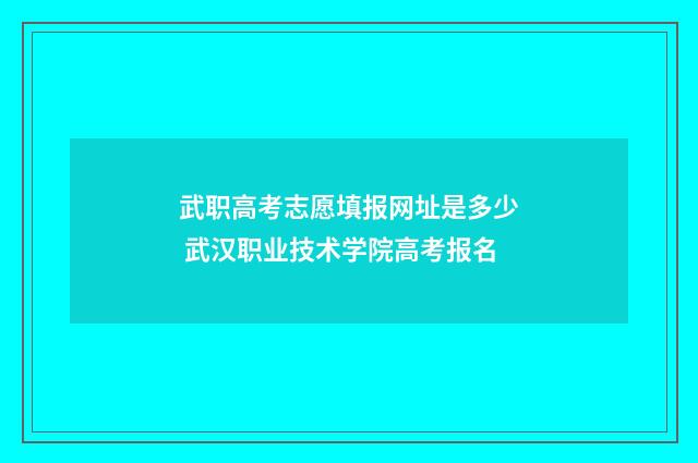 武职高考志愿填报网址是多少 武汉职业技术学院高考报名