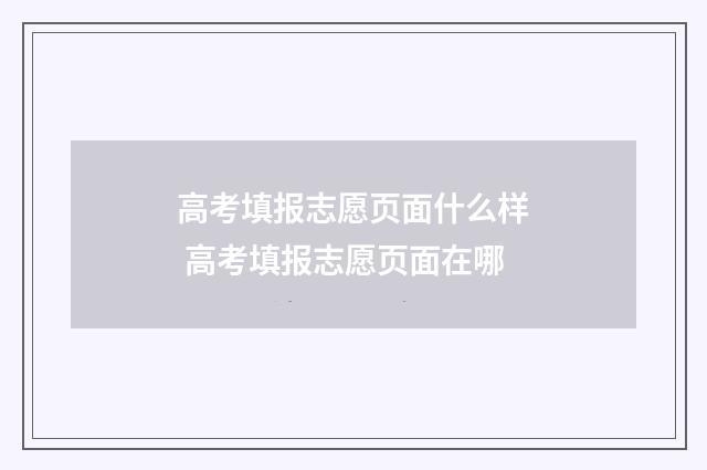 高考填报志愿页面什么样 高考填报志愿页面在哪