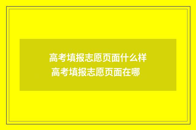 高考填报志愿页面什么样 高考填报志愿页面在哪