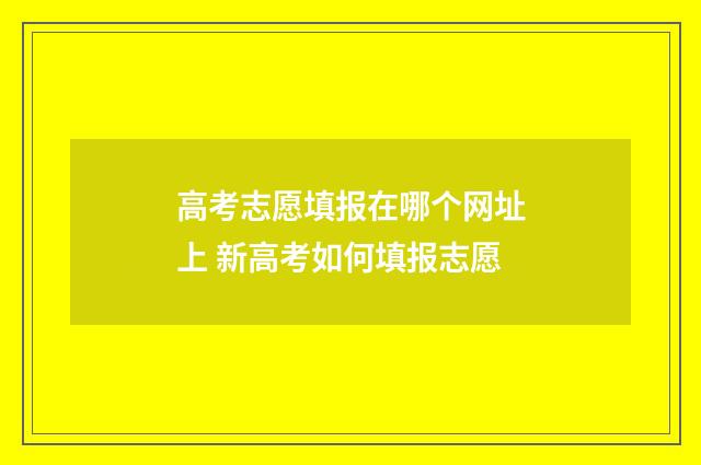 高考志愿填报在哪个网址上 新高考如何填报志愿