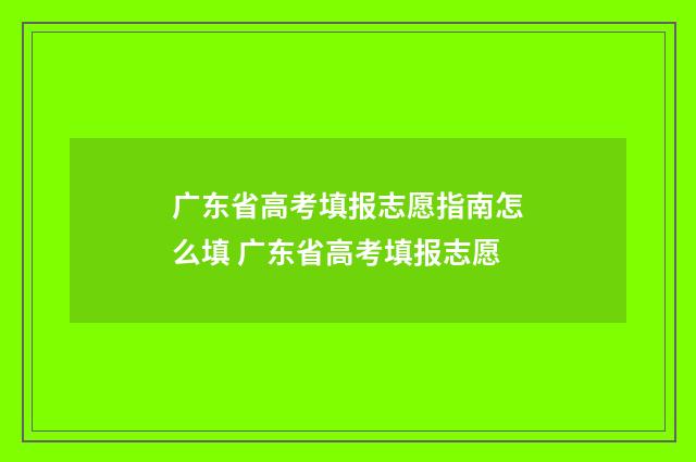 广东省高考填报志愿指南怎么填 广东省高考填报志愿