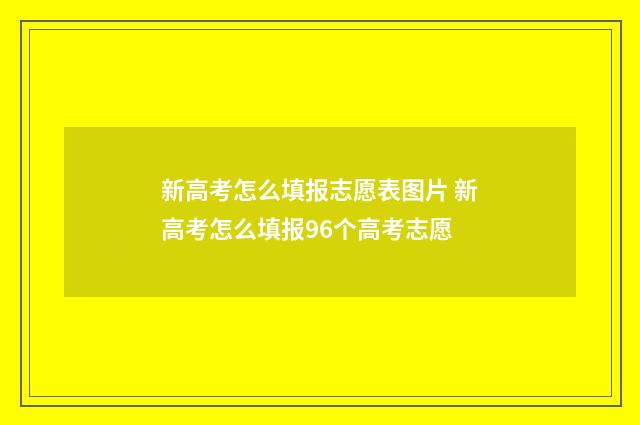 新高考怎么填报志愿表图片 新高考怎么填报96个高考志愿