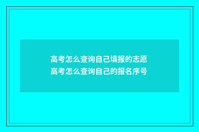 高考怎么查询自己填报的志愿 高考怎么查询自己的报名序号