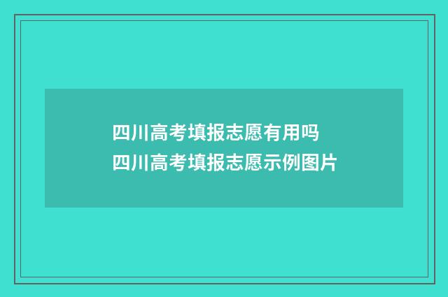 四川高考填报志愿有用吗 四川高考填报志愿示例图片