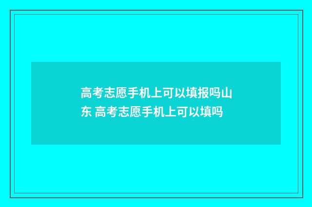 高考志愿手机上可以填报吗山东 高考志愿手机上可以填吗