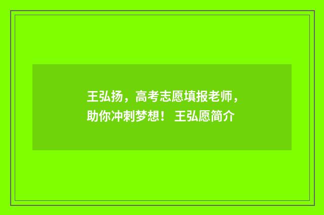 王弘扬，高考志愿填报老师，助你冲刺梦想！ 王弘愿简介