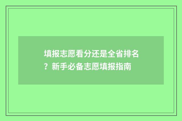 填报志愿看分还是全省排名?新手必备志愿填报指南